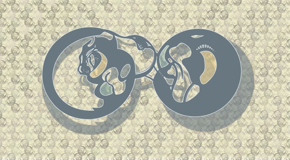 Abstract Feline Infinity by Alejandra Winkhaus — canvas wall art