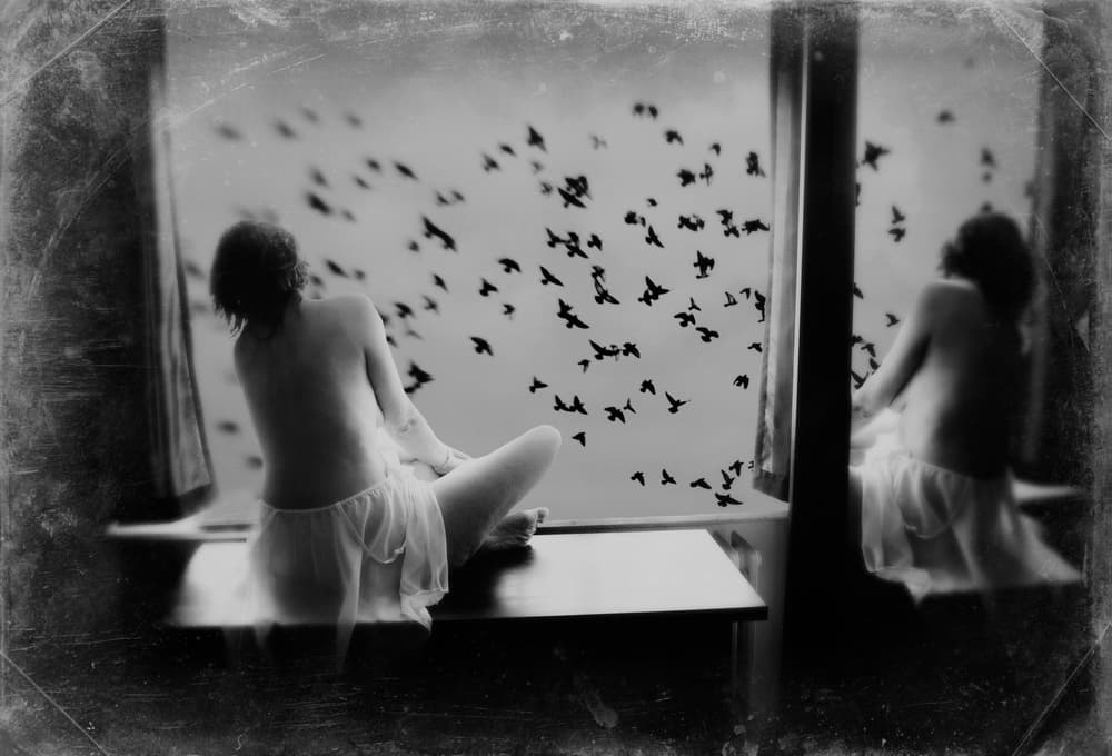 Woman and Flying Birds by Bogdan Bouşcă — canvas wall art