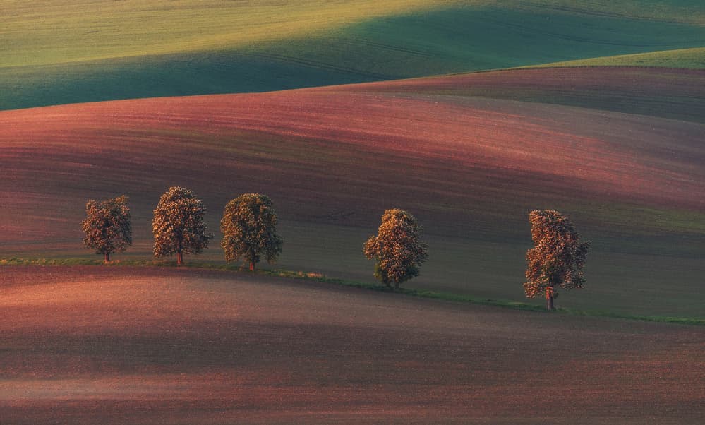 Rolling Hills Golden Light by Ales Krivec — canvas wall art