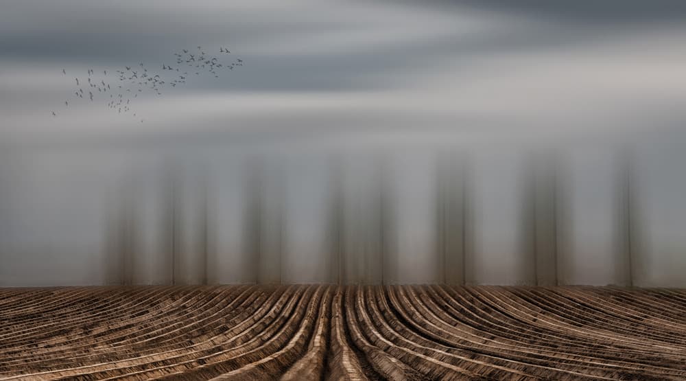 Serene Ploughed Field by Yvette Depaepe — canvas wall art