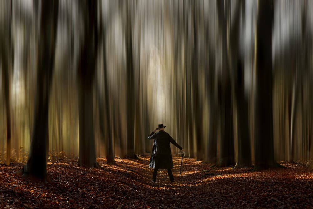 Mysterious Forest Wanderer by Wilma Wijers Smeets — canvas wall art