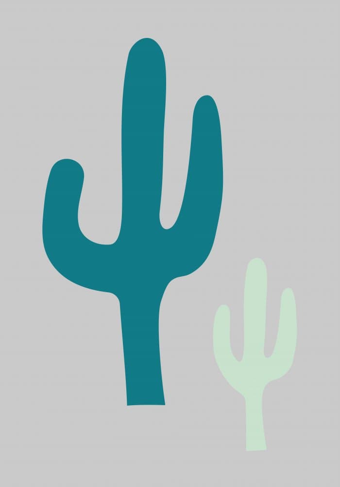 Desert Cacti Duo by Pictufy Studio II — canvas wall art