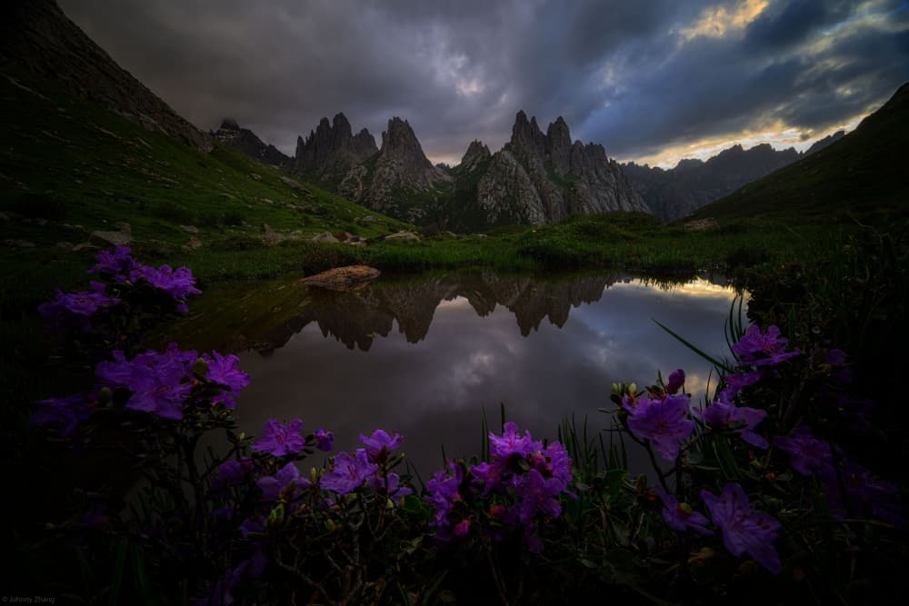 Moody Mountain Lake Bloom by Johnny Zhang — canvas wall art