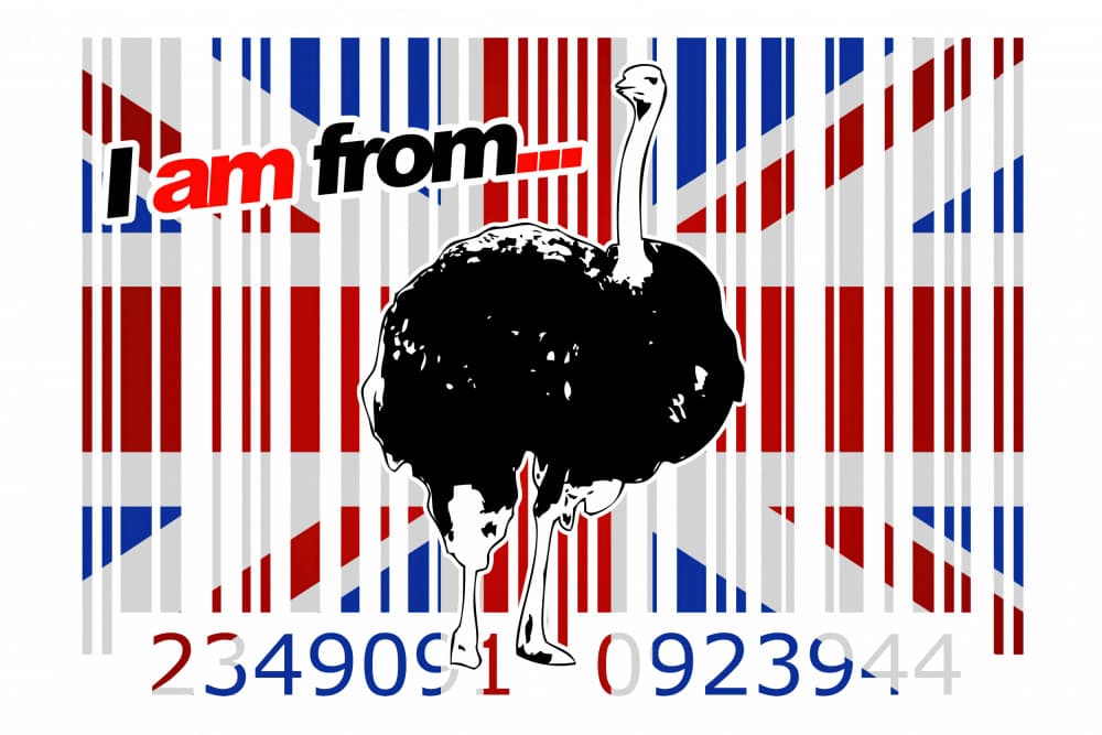 British Ostrich Identity by Rafal Kulik — canvas wall art