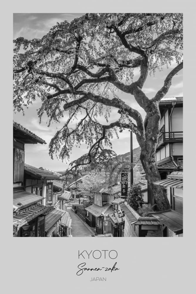 Kyoto Blossom Path by Melanie Viola — canvas wall art