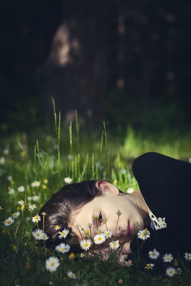 Dreaming In Daisies by Svetlana Bekyarova — canvas wall art