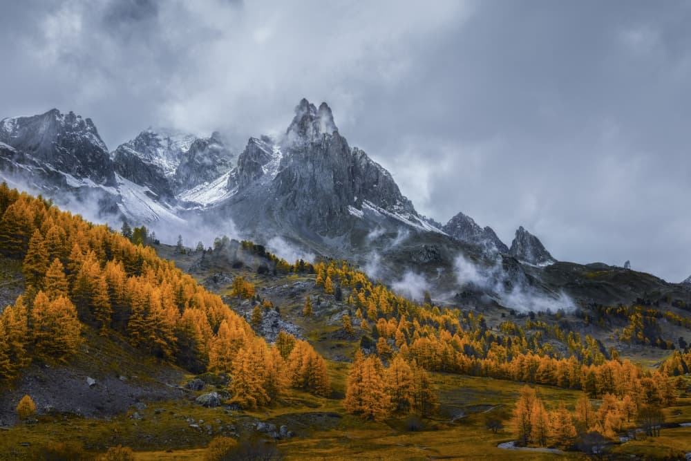 Misty Autumn Mountains by Chuan Chen APA — canvas wall art
