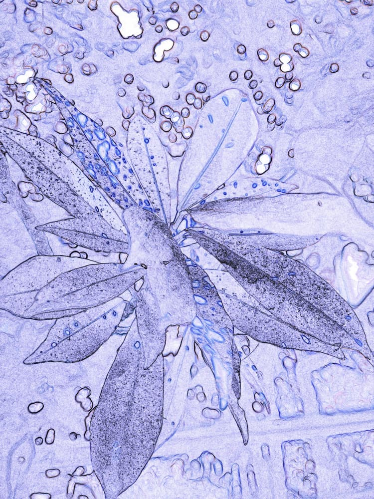 Dotted Lavender Foliage by Santhosh ch — canvas wall art