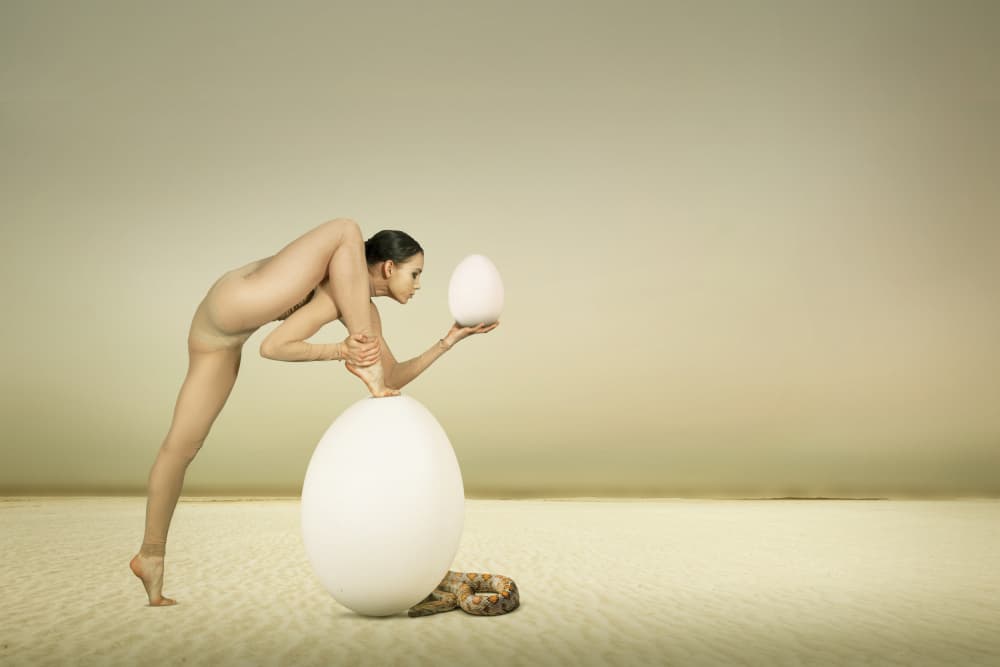 Female Egg Balance by Christine von Diepenbroek — canvas wall art