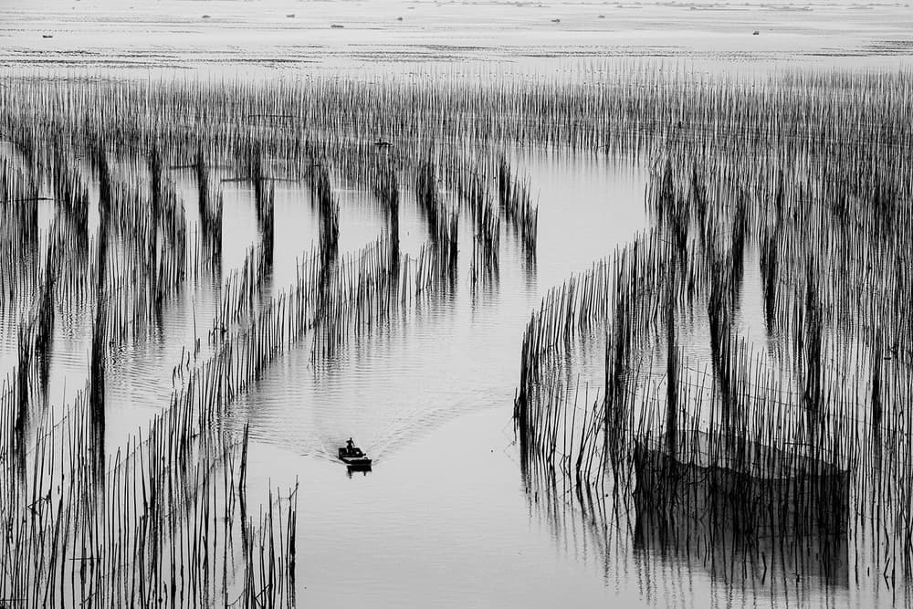 Boat Among Water Poles by Shin Woo Ryu — canvas wall art