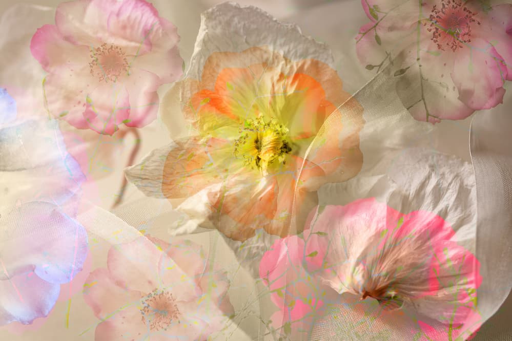 Dreamy Pastel Blooms by Ludmila Shumilova — canvas wall art
