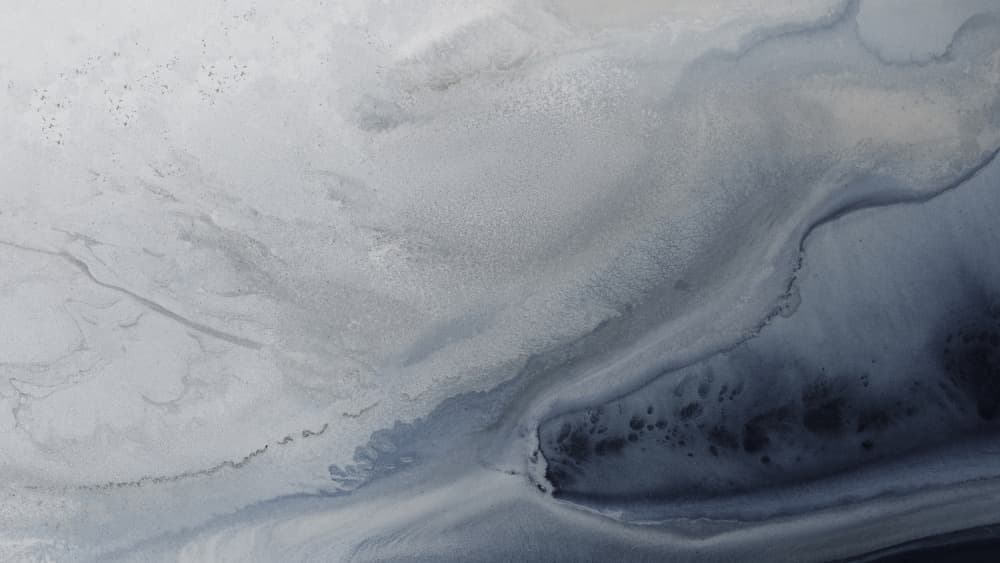 Marine Majesty 3 Tifupscaled Cgi 13287w Copy 3 by Petra Meikle de Vlas — canvas wall art