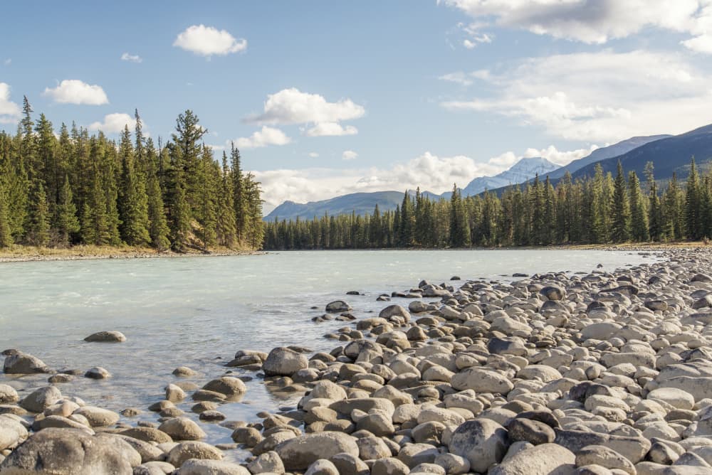 Serene Mountain River Shore by Lynann Colligan — canvas wall art
