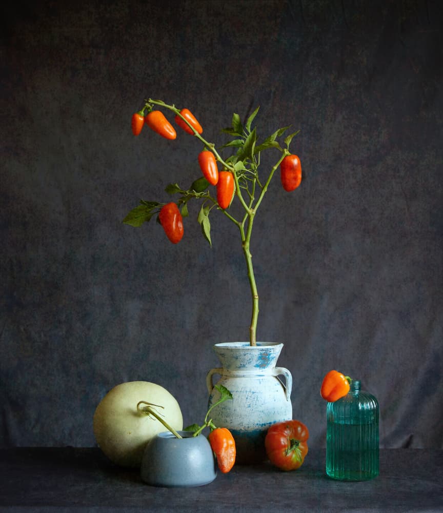 Orange Tomatoes Rustic Still Life by Fangping Zhou — canvas wall art