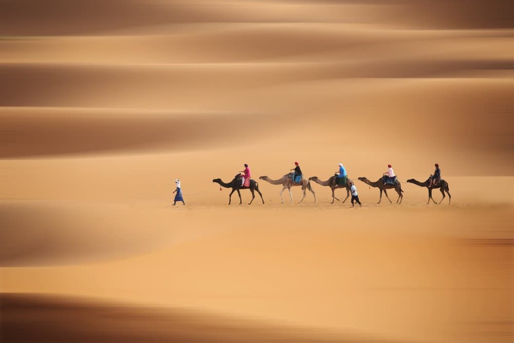 Desert Caravan Journey by Clas Gustafson PRO — canvas wall art