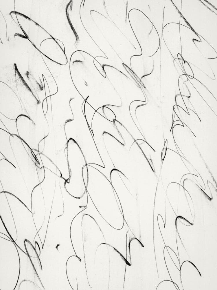 Script by Dan Hobday — canvas wall art