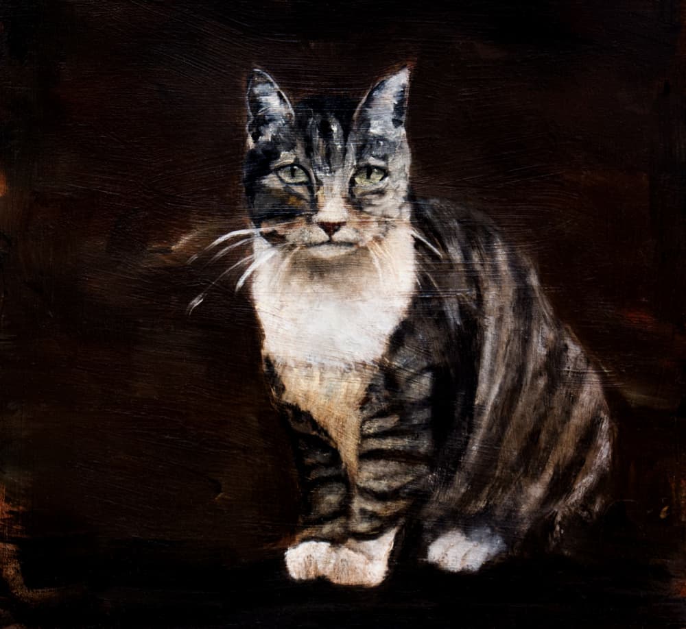 Elegant Tabby Cat by Claire Lerner — canvas wall art