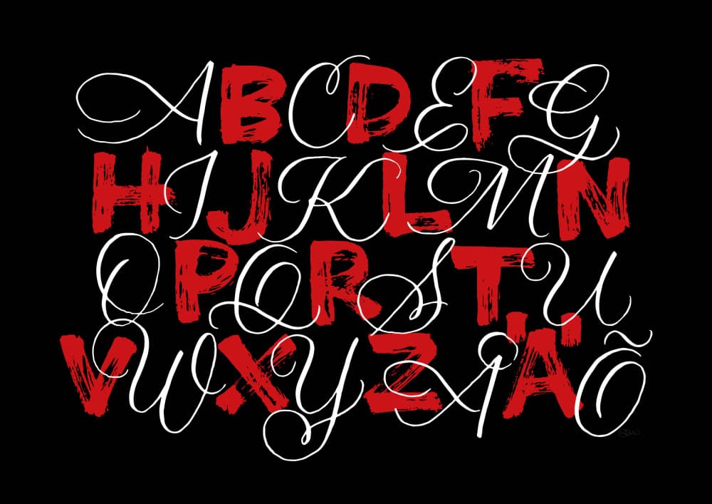 Brushstroke Script Alphabet by Sofie Björkgren-Näse — canvas wall art