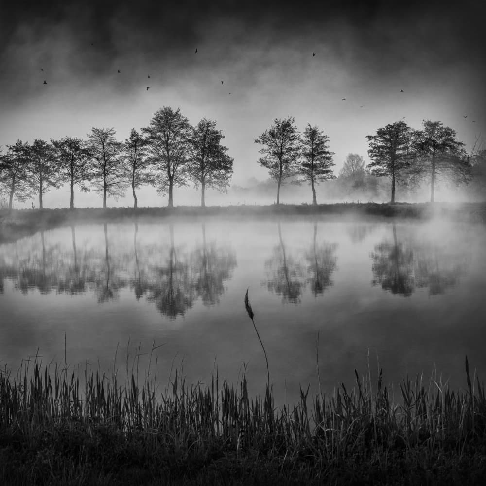 Misty Lake Reflections by Tomas Frolec — canvas wall art