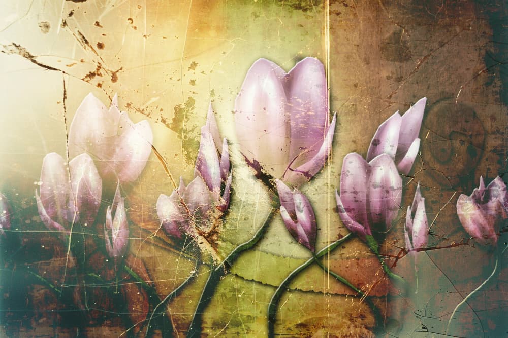 Aged Botanical Beauty by Rafal Kulik — canvas wall art