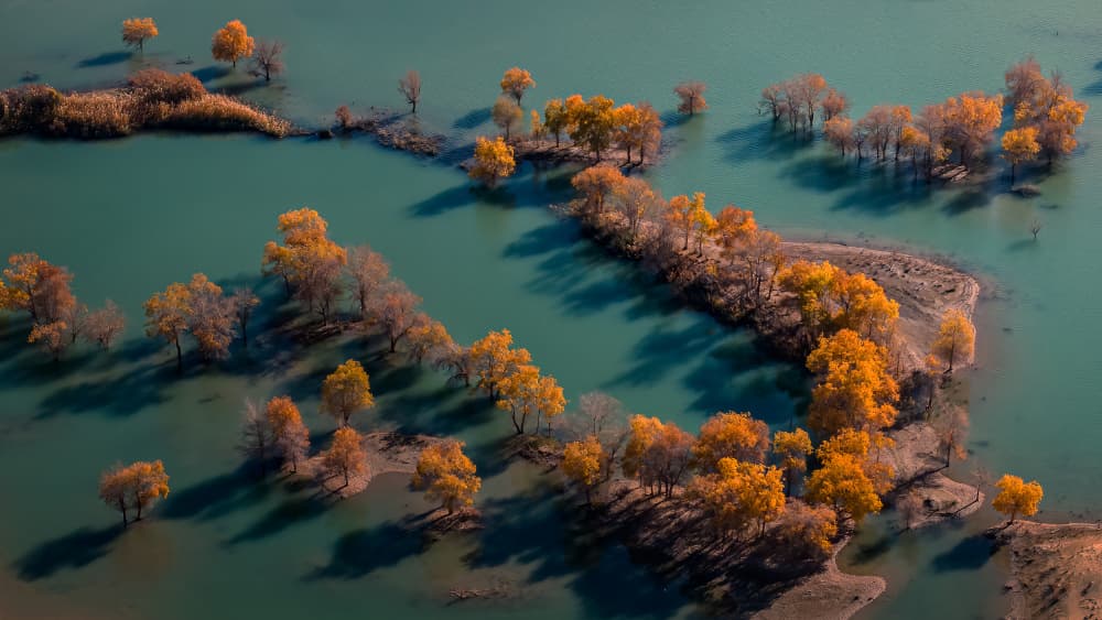 Golden Autumn Waterway by John J. Chen — canvas wall art