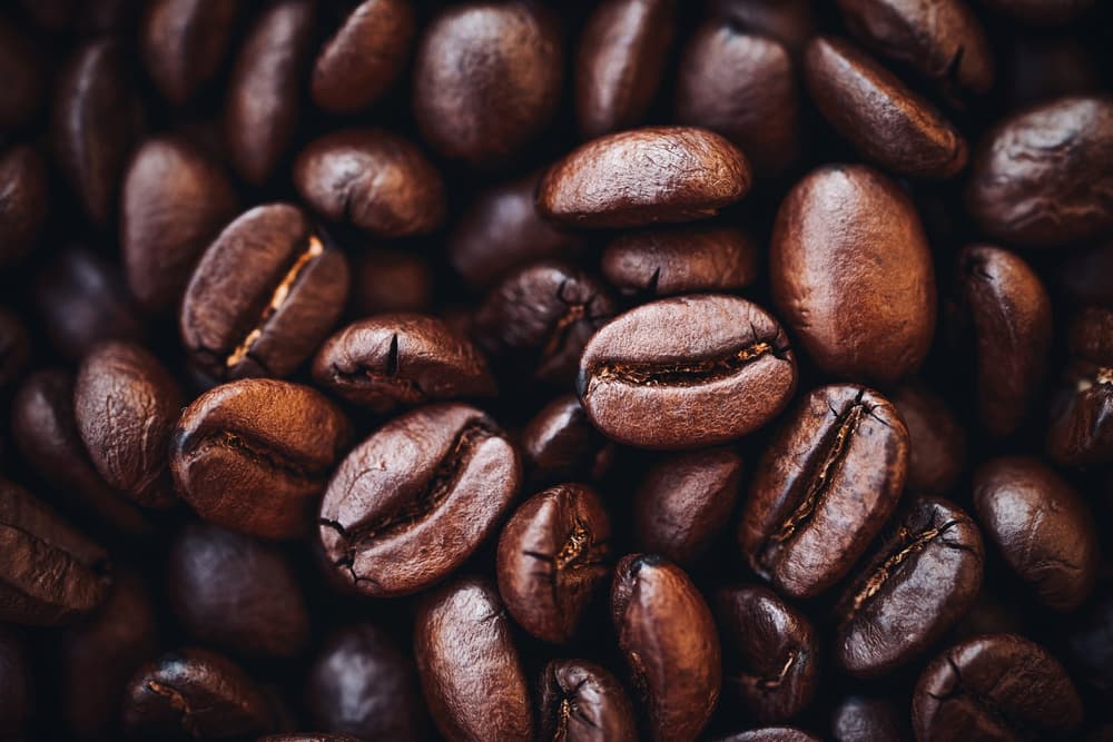Rich Coffee Beans by Karina Aleksandrova — canvas wall art