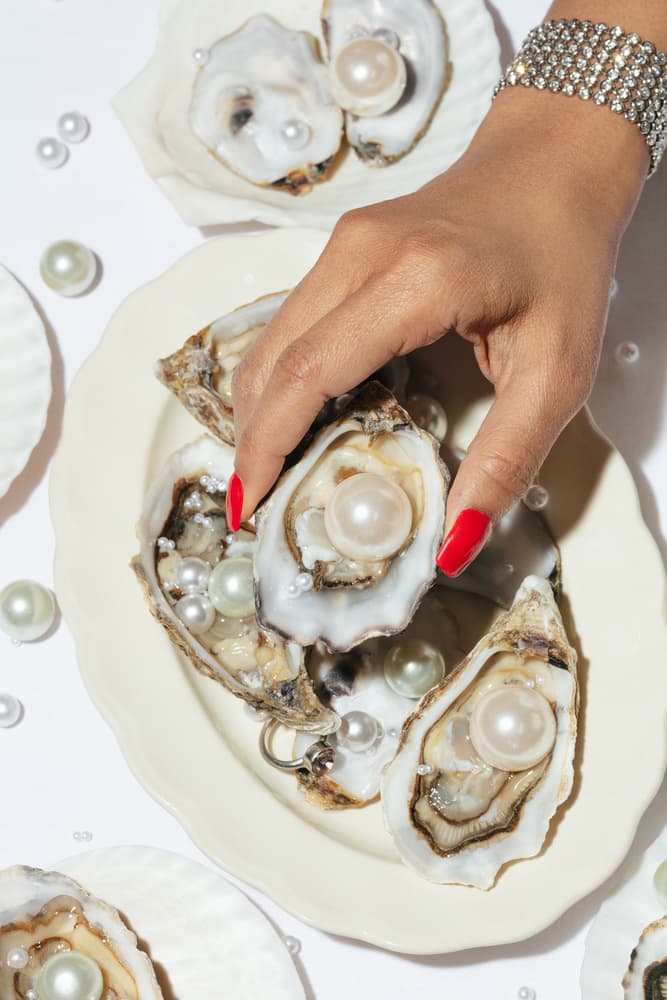 Elegant Pearls and Oysters by Pictufy Studio III — canvas wall art