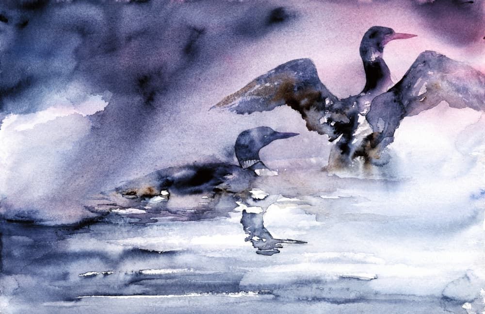 Water Birds at Dusk by RodMacIver — canvas wall art