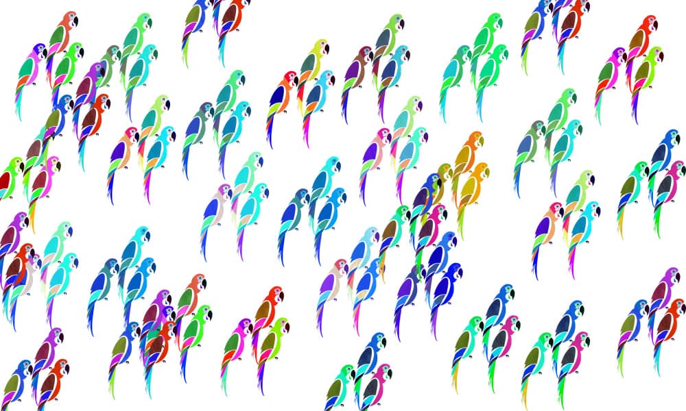 Colorful Parrot Flock by cartissi — canvas wall art