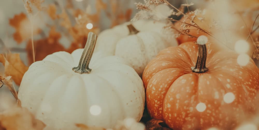 Cozypumpkinimpressionno02 by Treechild — canvas wall art