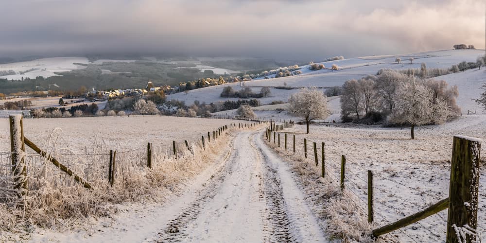 Snowy Country Path by Erik Proper — canvas wall art