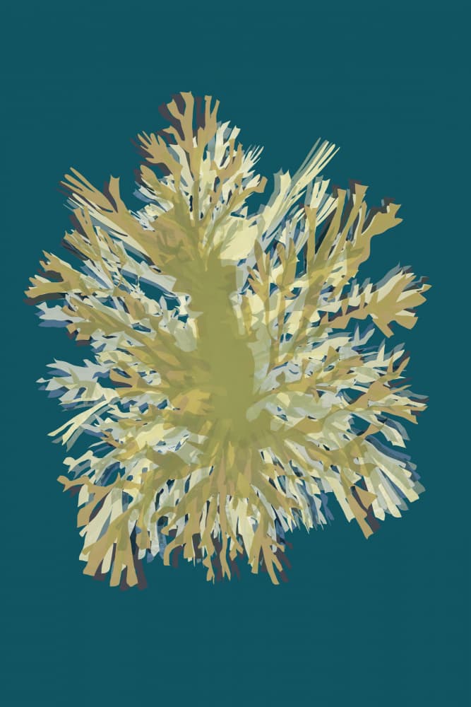 Abstract Coral Growth by cartissi — canvas wall art
