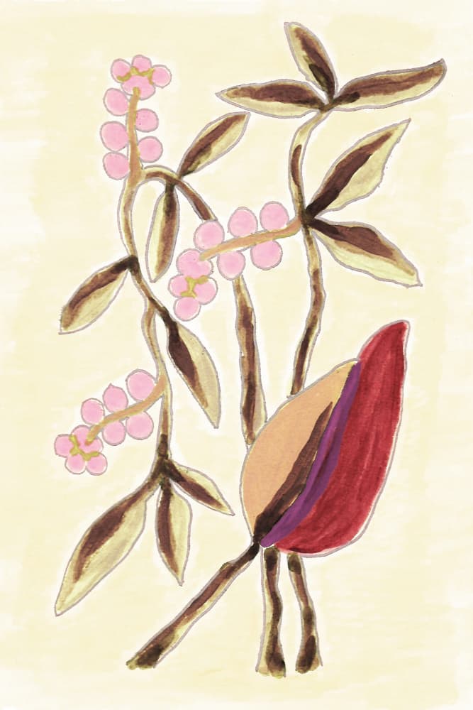 Pink Berry Botanicals by Lori Ann Folz — canvas wall art