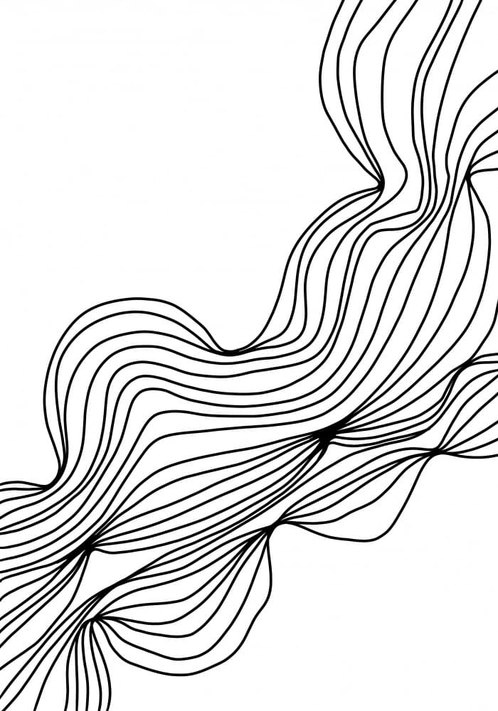 Dynamic Flowing Lines by Veronika Boulová — canvas wall art