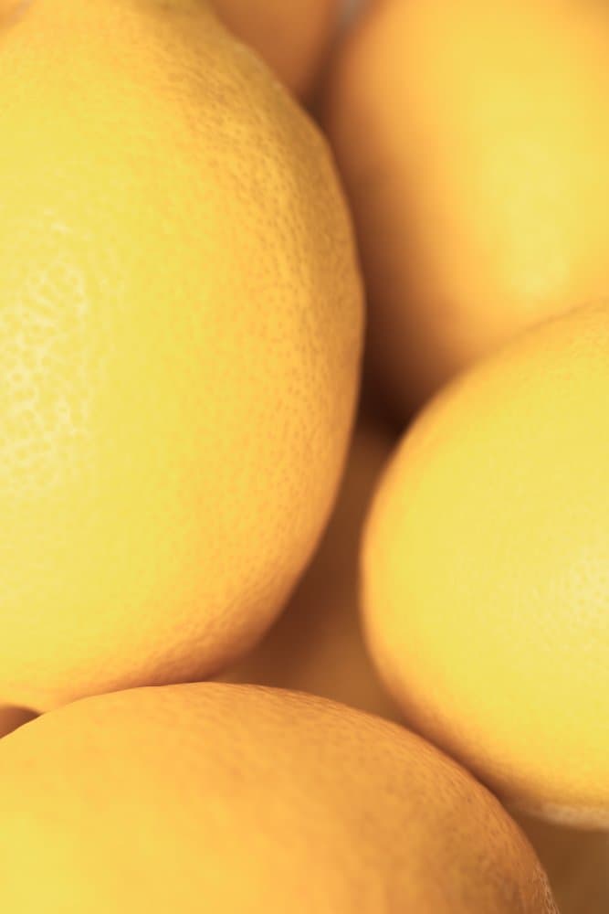 Vibrant Yellow Lemons by Pictufy Studio III — canvas wall art