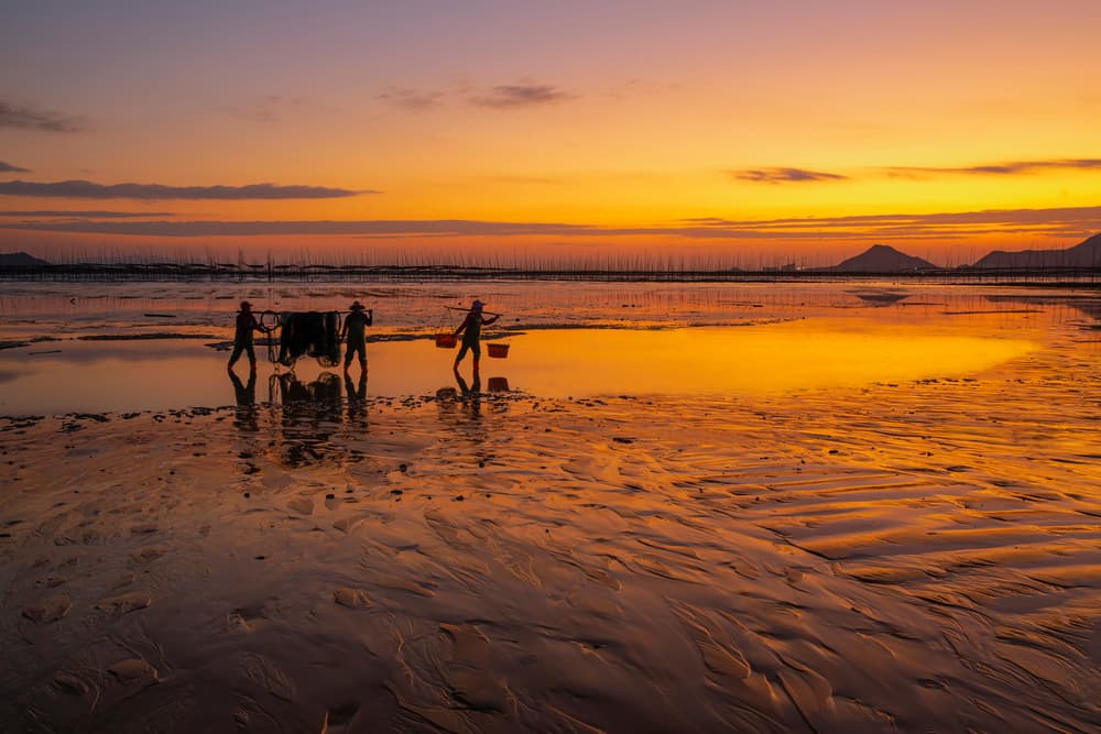 Coastal Sunset Workers by Fion Wong — canvas wall art