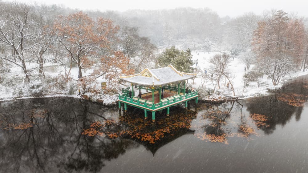 Winter Pagoda Reflection by UU — canvas wall art