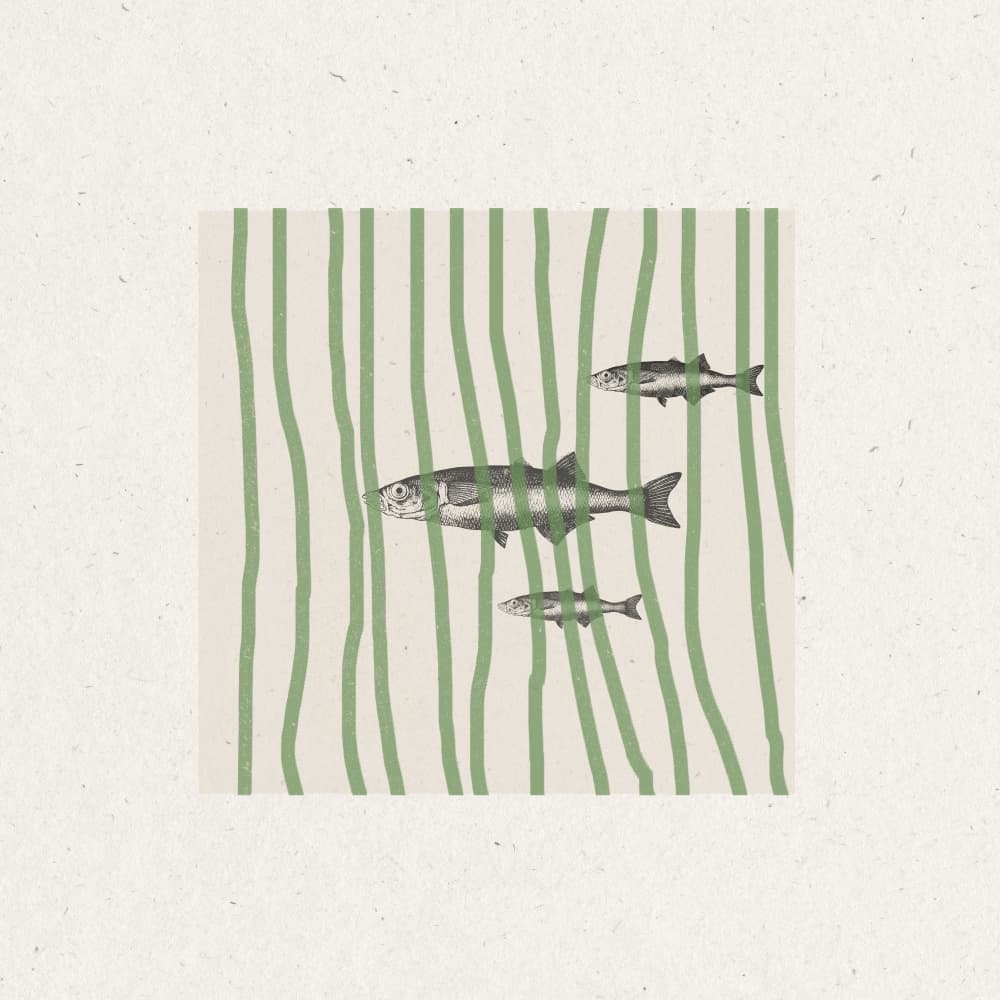Fish in Striped Waves by THE MIUUS STUDIO — canvas wall art