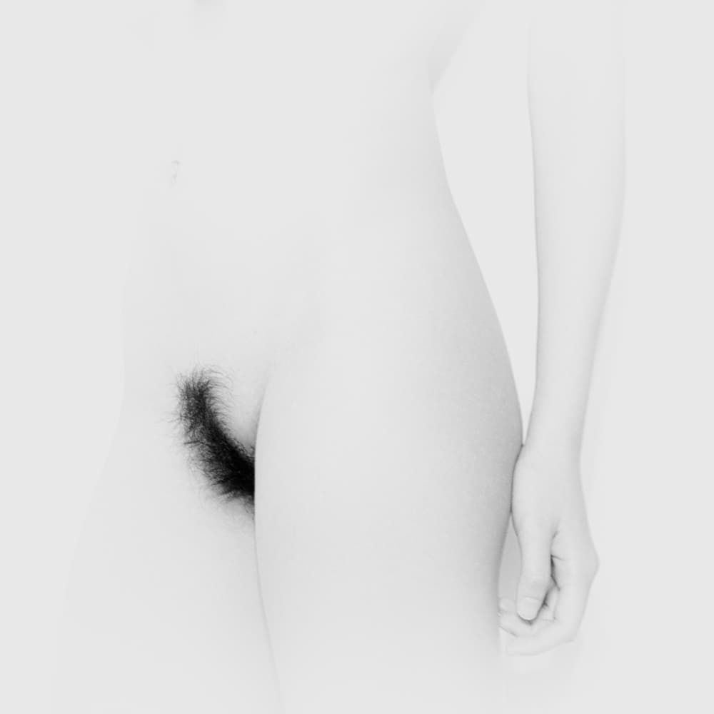 Minimalist Feminine Form by David McCracken — canvas wall art