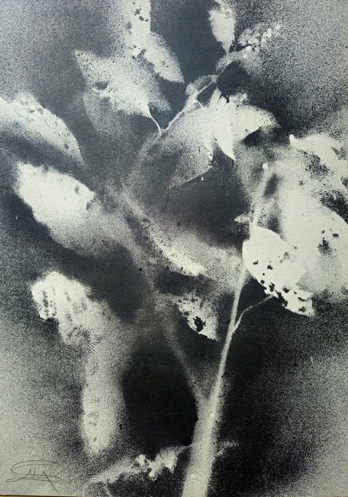 Monochrome Botanical Study by Stefano Mazzolini — canvas wall art