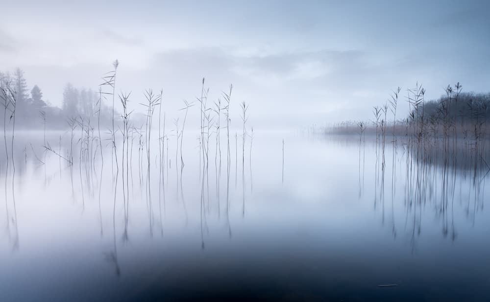 Tranquil Misty Morning by David Ahern — canvas wall art
