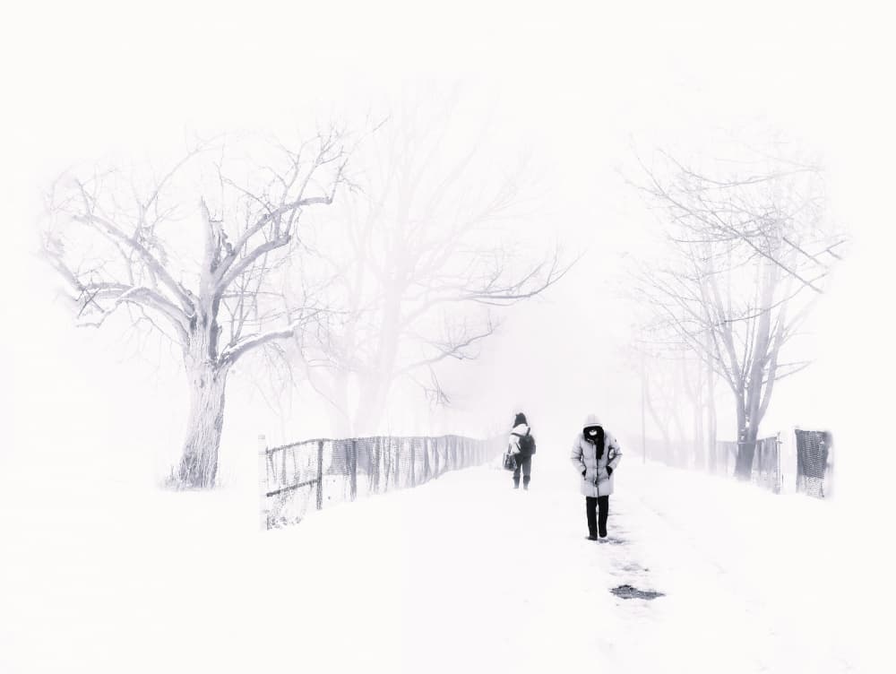 Misty Winter Path by Jasmine Zhang — canvas wall art