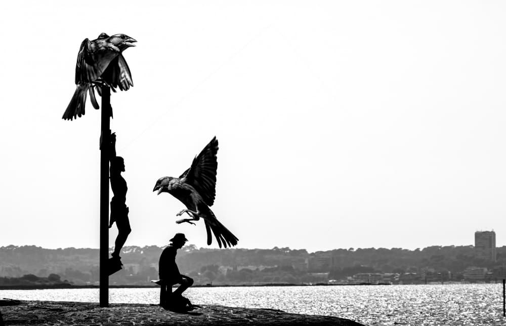 Waterfront Cross and Crows by Marketa Zvelebil PhD LRPS CrGP. — canvas wall art