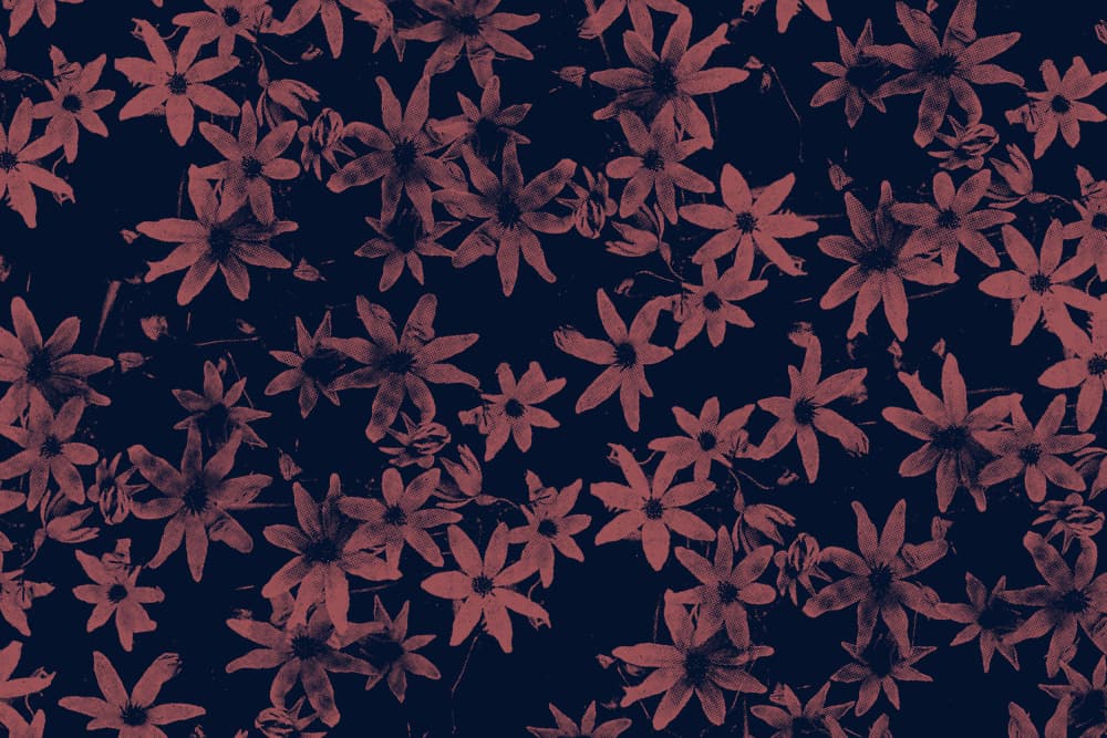 Moody Pink Flowers by Florent Bodart — canvas wall art