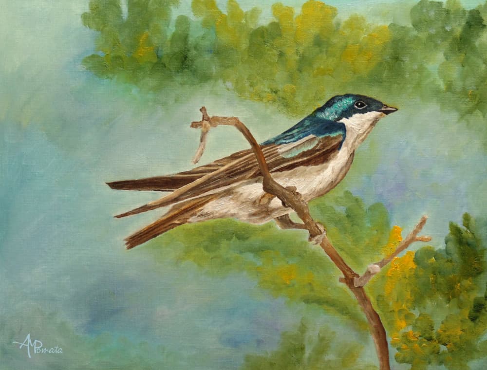 Colorful Perched Swallow by Angeles M. Pomata — canvas wall art