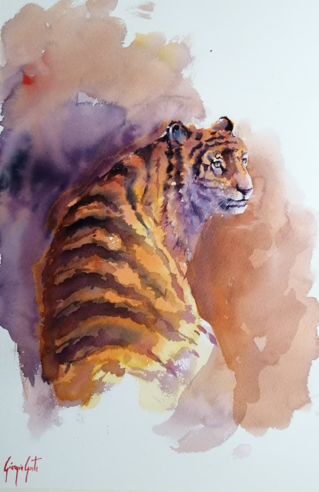 tiger 6 by Giorgio Gosti — canvas wall art