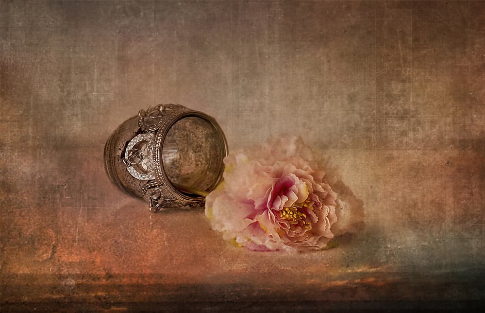 Pink Peony and Keepsake by Elena Arjona — canvas wall art