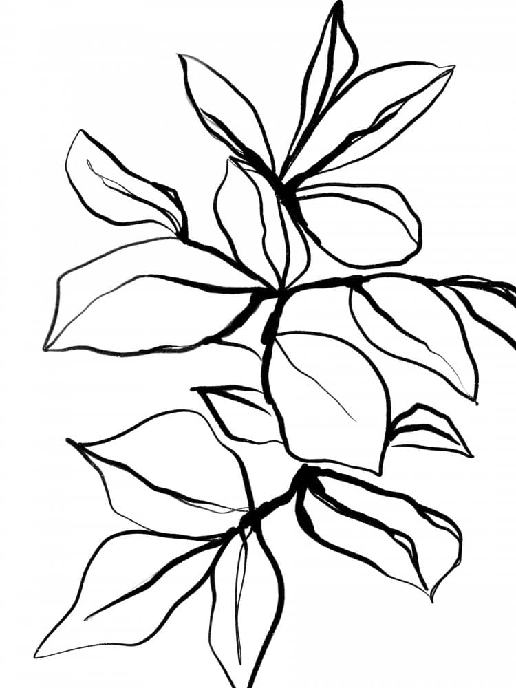 Graceful Foliage by Treechild — canvas wall art