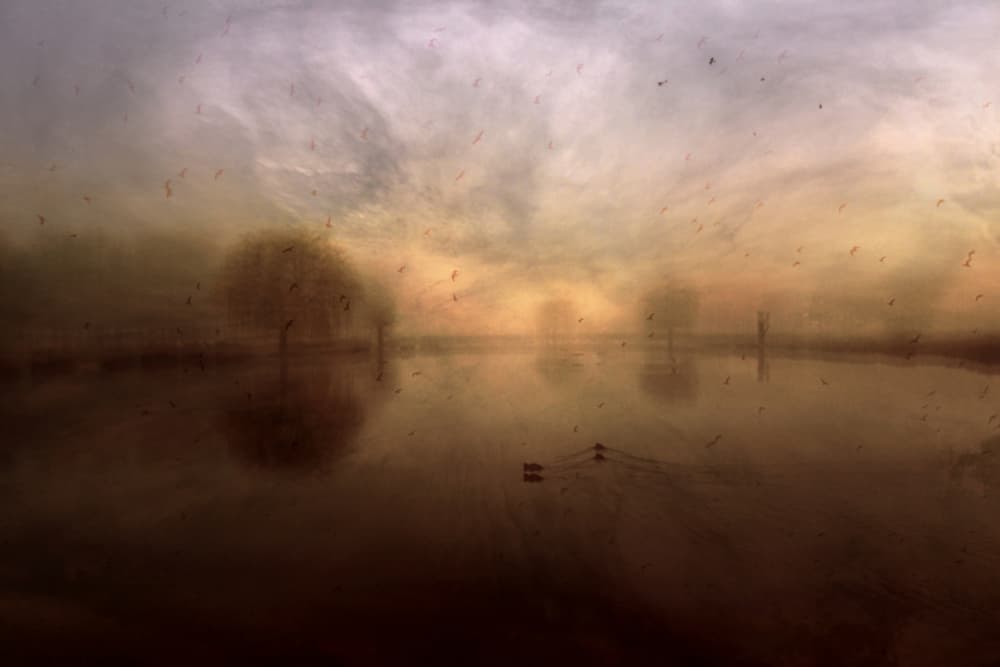 Misty Lake Serenity by Robert Fabrowski — canvas wall art