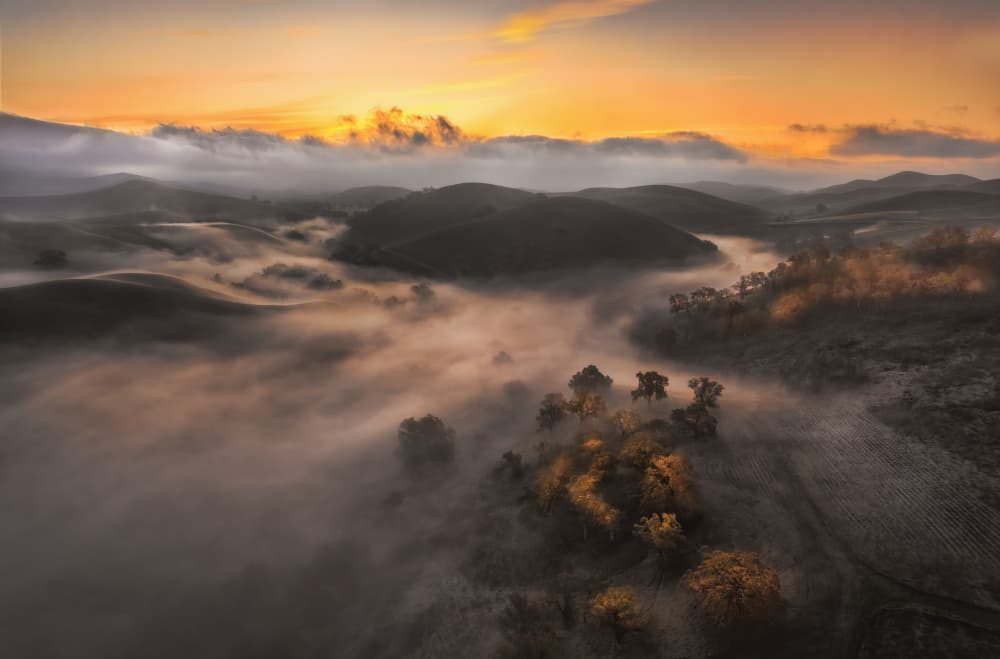 Golden Morning Mist by Jenny Qiu — canvas wall art